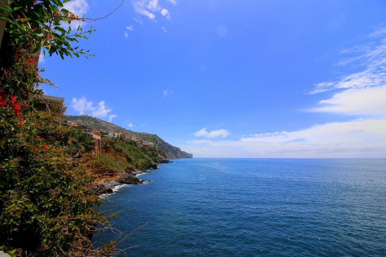 Quinta Araucaria Funchal Διαμέρισμα Φουνκάλ Εξωτερικό φωτογραφία
